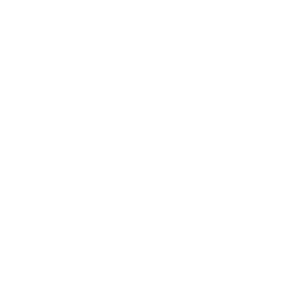 Icon of a patient in bed